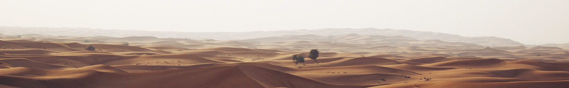 人ÿƼ޹˾